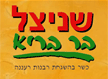 מסעדת שניצל בר בריא